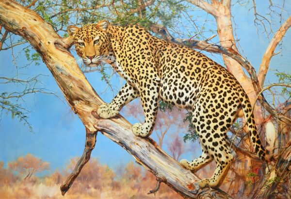 Leopard in a Tree – 160 x 110 cm Art Gallery