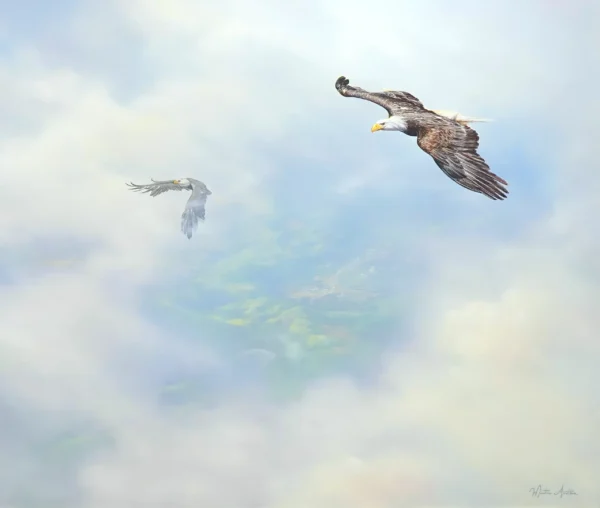 Eagles in Flight– 200 x 170 cm Art Gallery