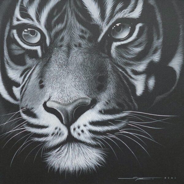 Tiger in the night – 40 X 40 cm Art Gallery