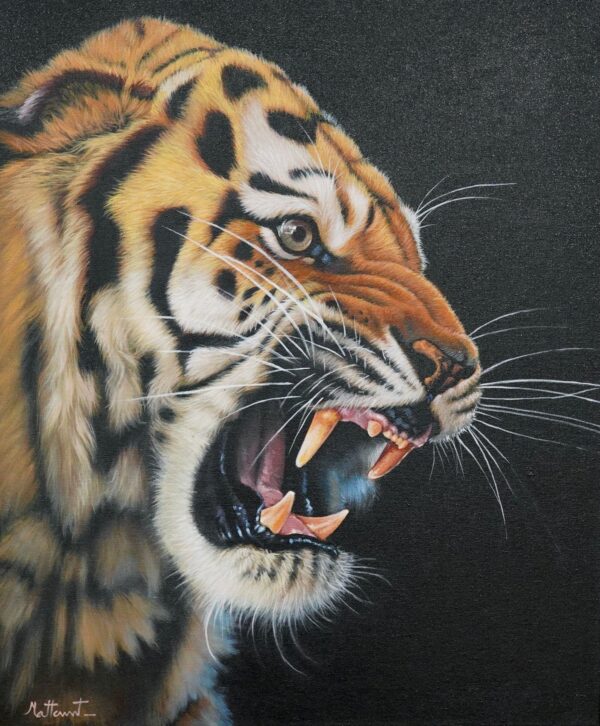 Raging Tiger – 50 x 60 cm Art Gallery