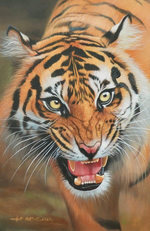 The Power of the Tiger – 40 X 60 cm Art Gallery